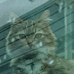 Meet your Posher, Nathan